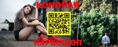 Альфа ПВП Беслан