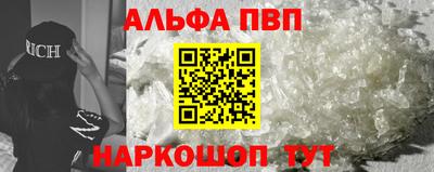 стаф Берёзовский